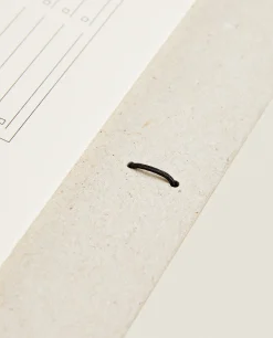 ZARA Home 2024 Wall Calendar