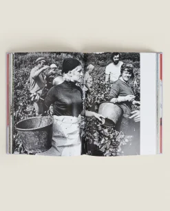 ZARA Home Assouline ‘Provence Glory' Book