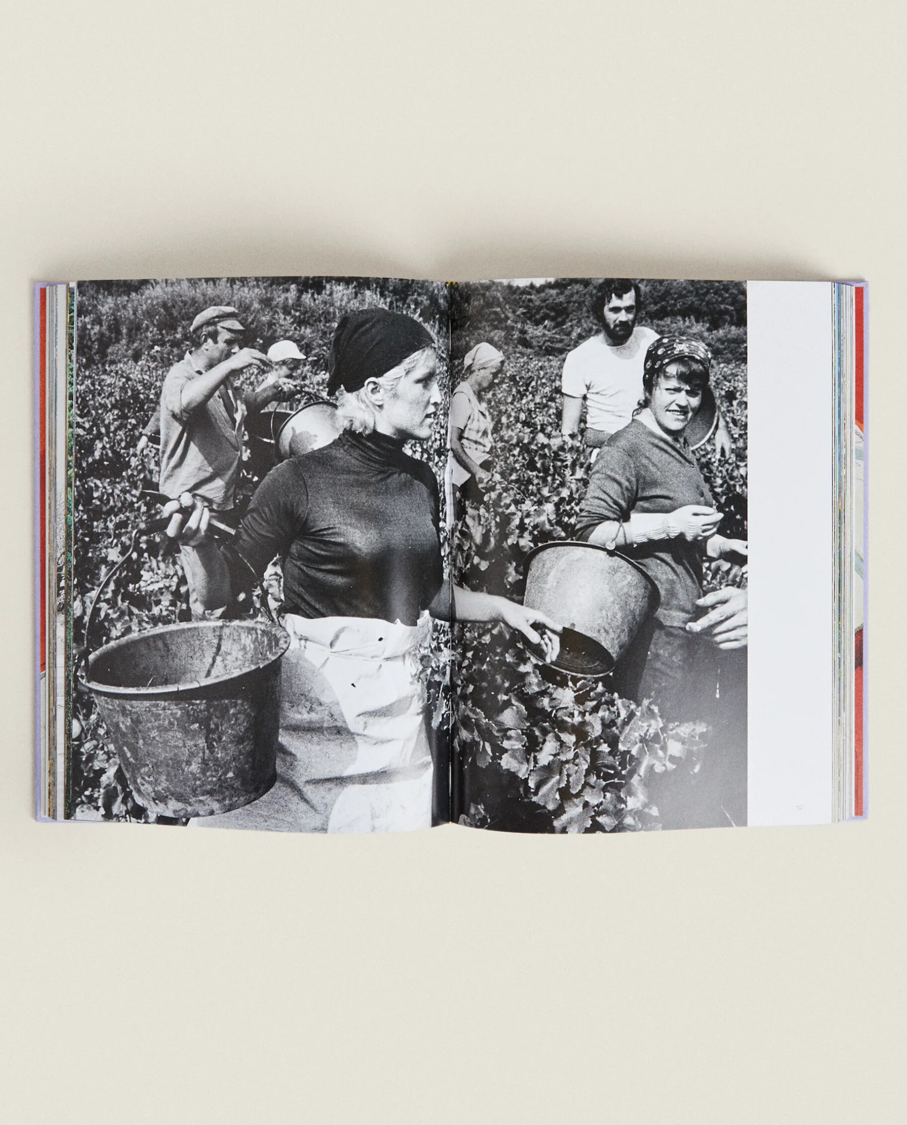 ZARA Home Assouline ‘Provence Glory' Book