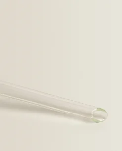 ZARA Home Borosilicate Glass Self-Watering Bubble