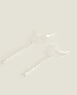 ZARA Home Borosilicate Glass Self-Watering Bubble