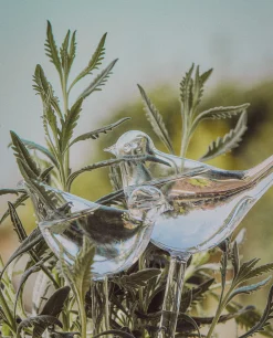 ZARA Home Borosilicate Glass Self-Watering Bubble