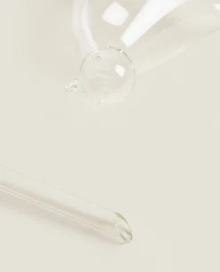 ZARA Home Borosilicate Glass Self-Watering Bubble