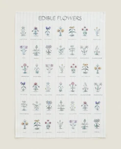 ZARA Home Check And Floral Print Cotton Tea Towel (Pack Of 2)