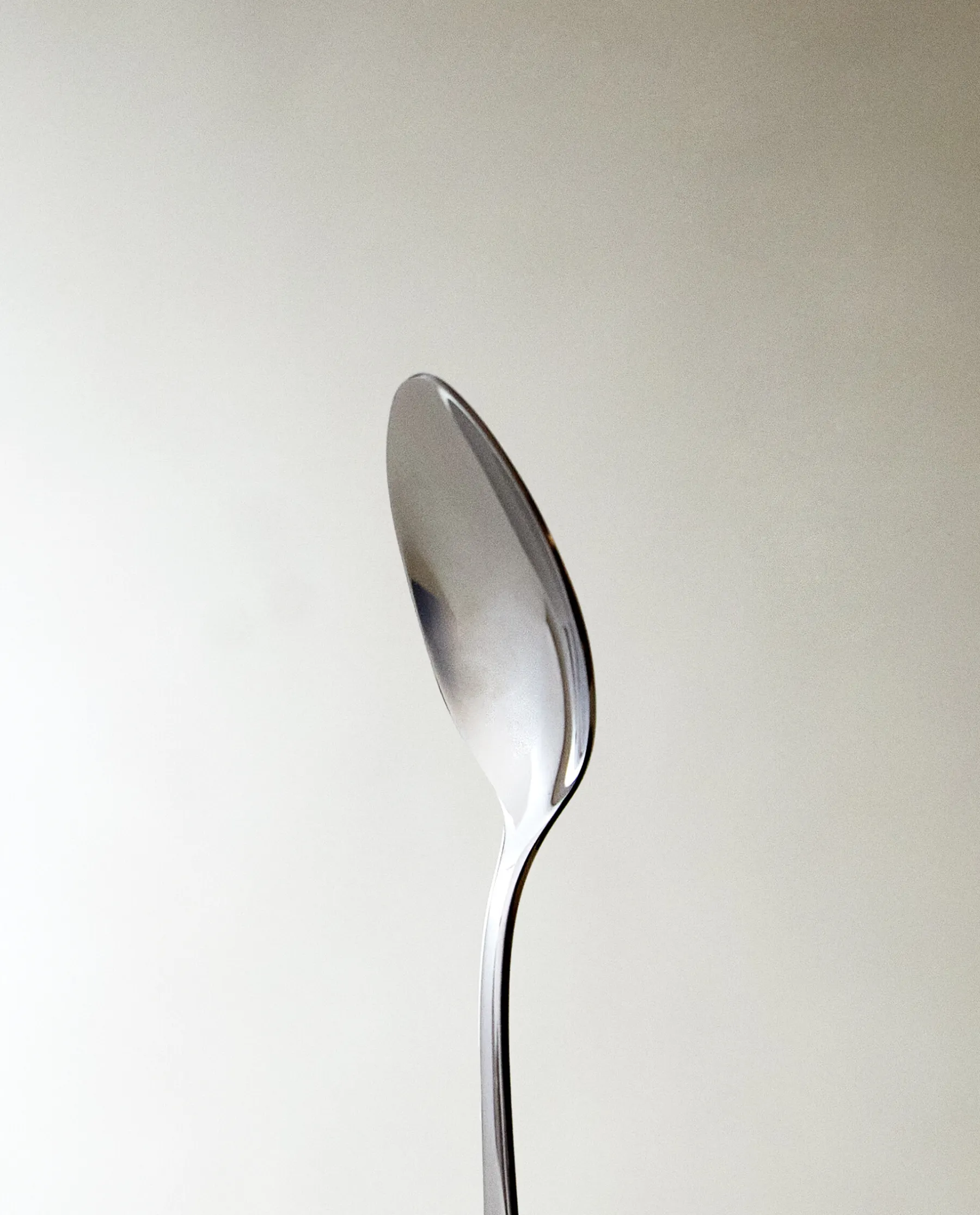 ZARA Home Classic Dessert Spoon