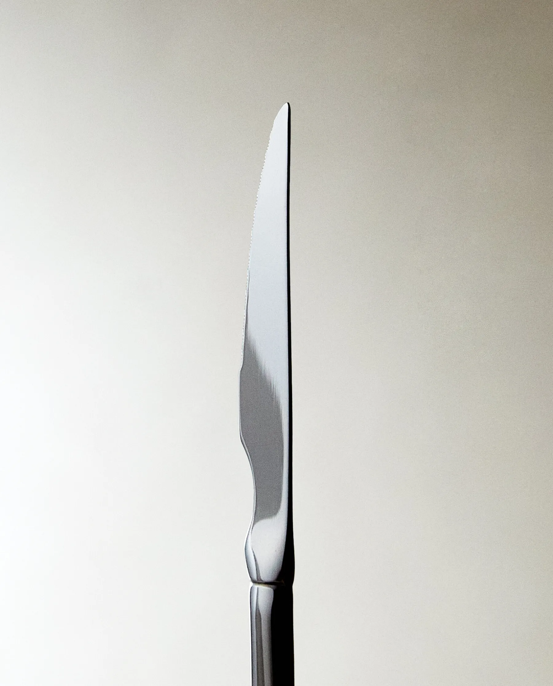 ZARA Home Classic Steak Knife