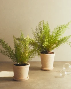 ZARA Home Clay Flowerpot