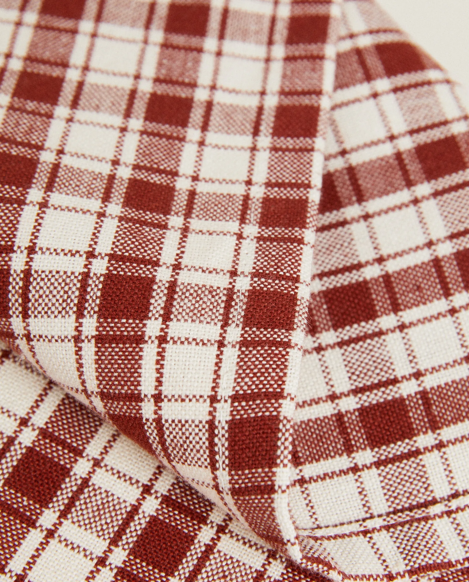 ZARA Home Colored Check Kitchen Towels (Pack Of 2)