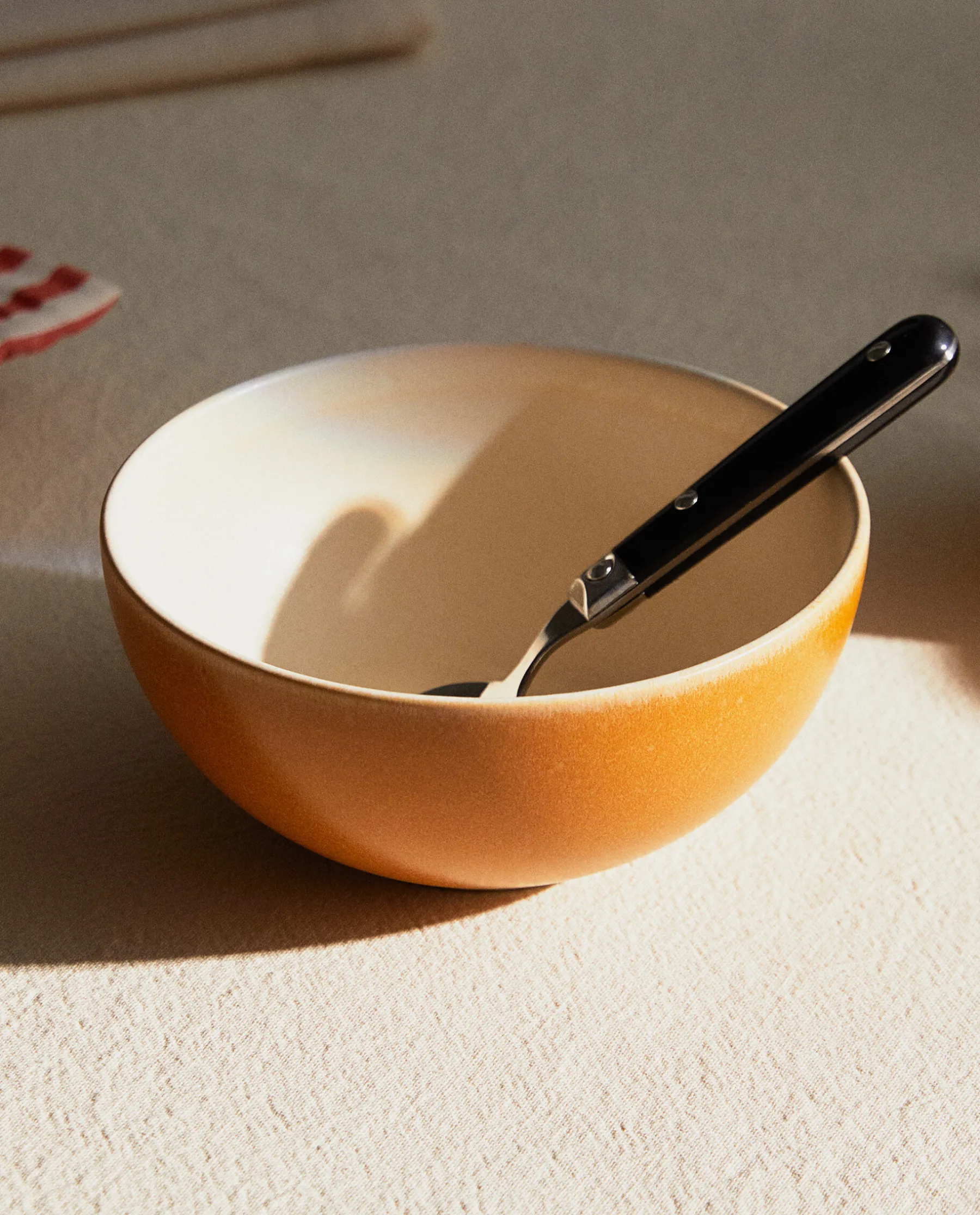 ZARA Home Colored Stoneware Bowl