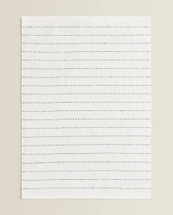 ZARA Home Cotton Terrycloth Dish Towel