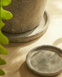 ZARA Home Dark Clay Plate