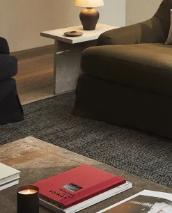 ZARA Home Dark Jute Rug