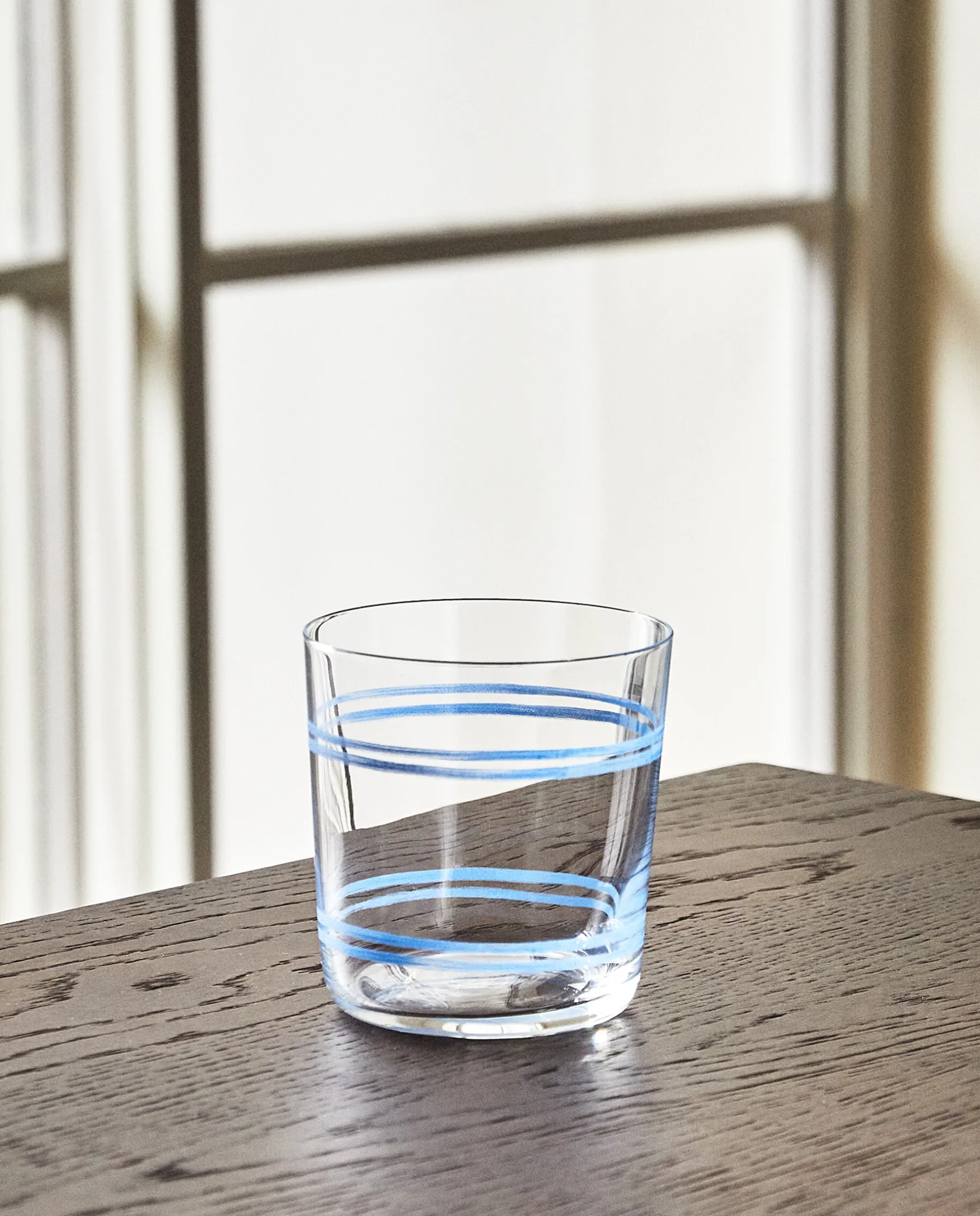 ZARA Home Dragonfly Print Glass Tumbler