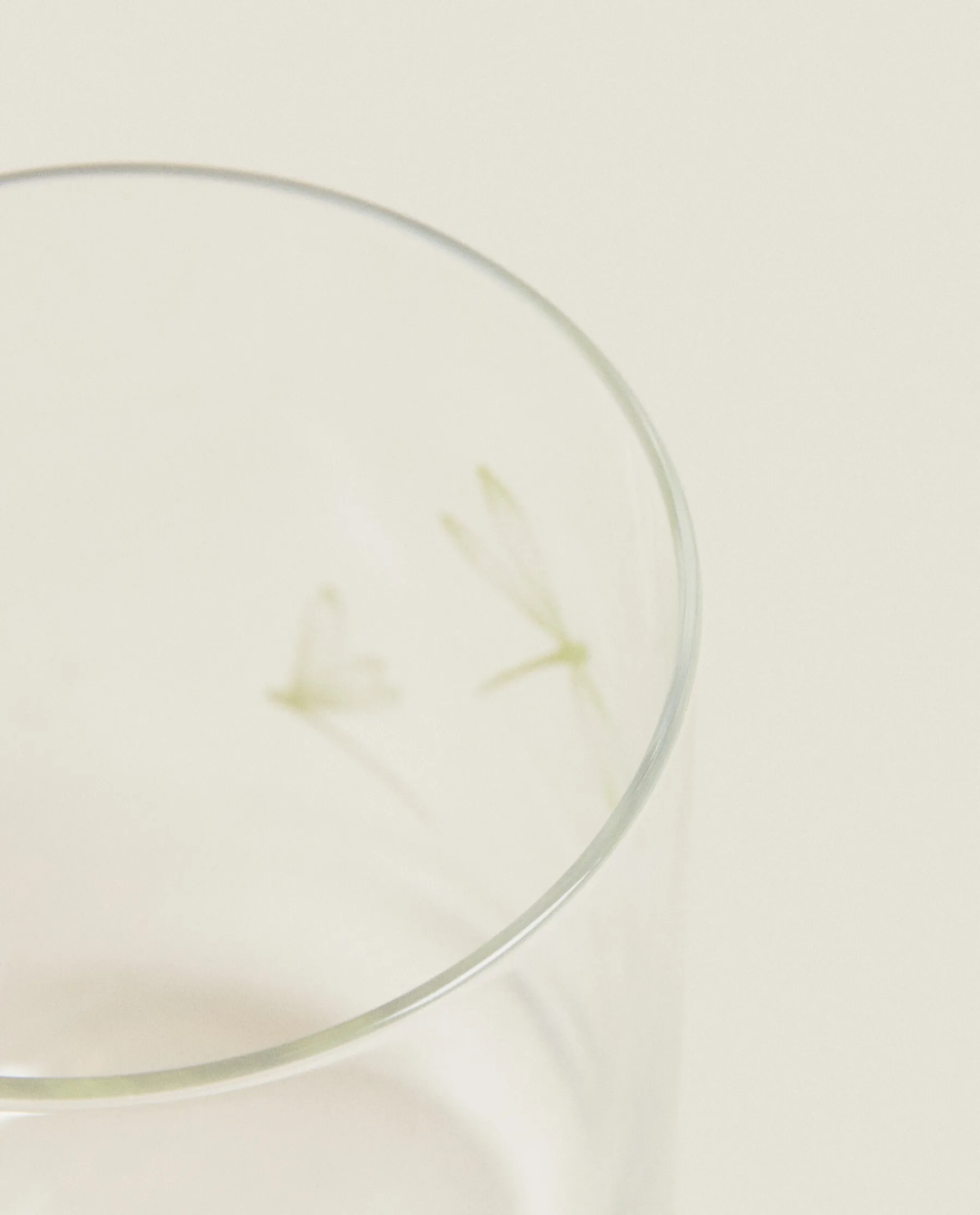 ZARA Home Dragonfly Transfer Tumbler