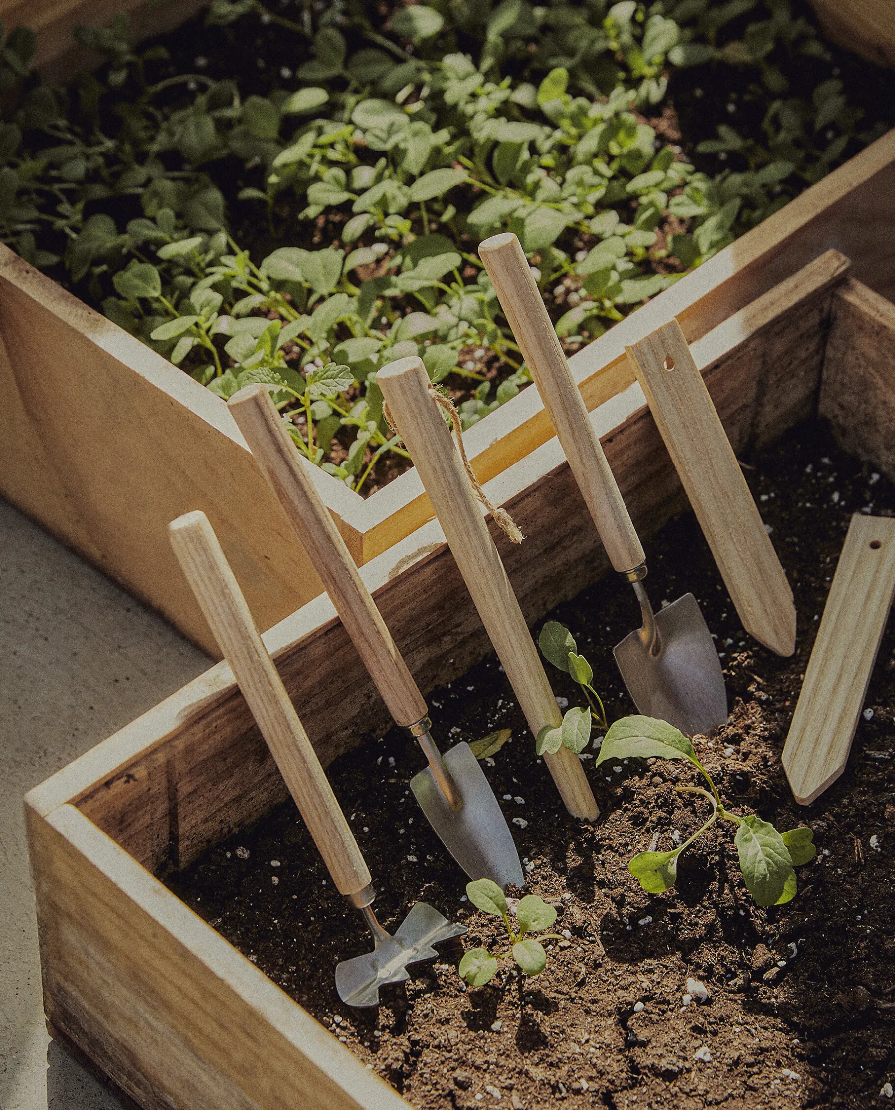 ZARA Home Garden Utensils (Set Of 6)