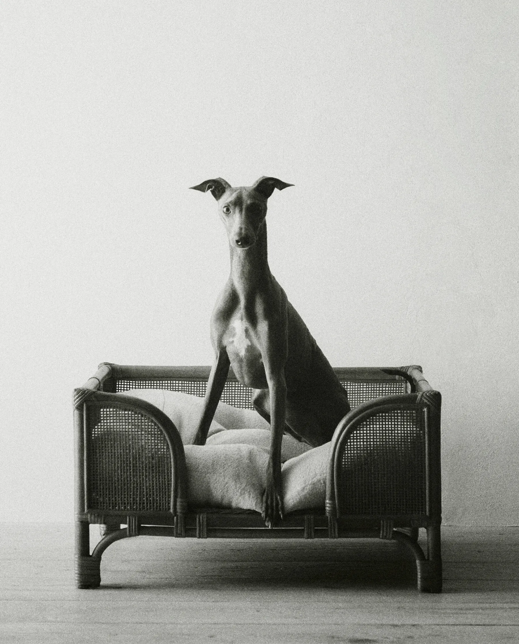 ZARA Home Linen Pet Cushion