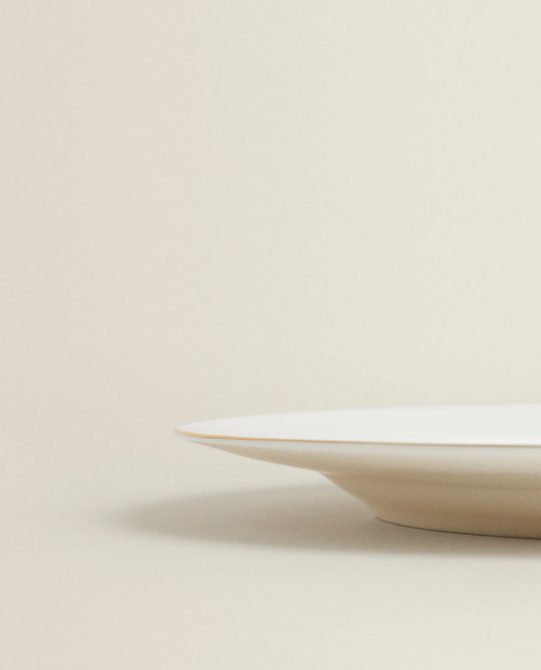 ZARA Home Rimmed Bone China Dinner Plate