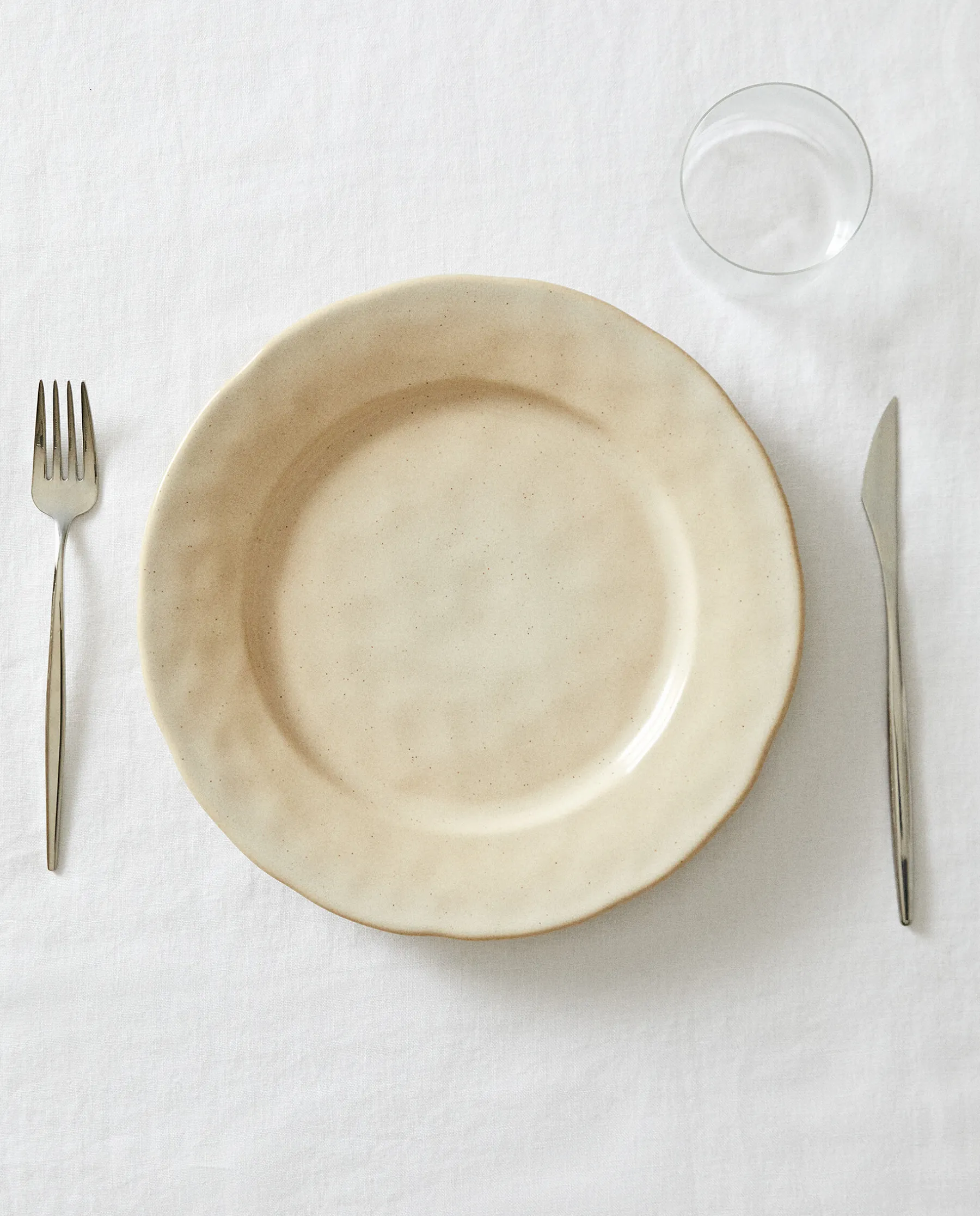 ZARA Home Speckled Stoneware Dinner Plate