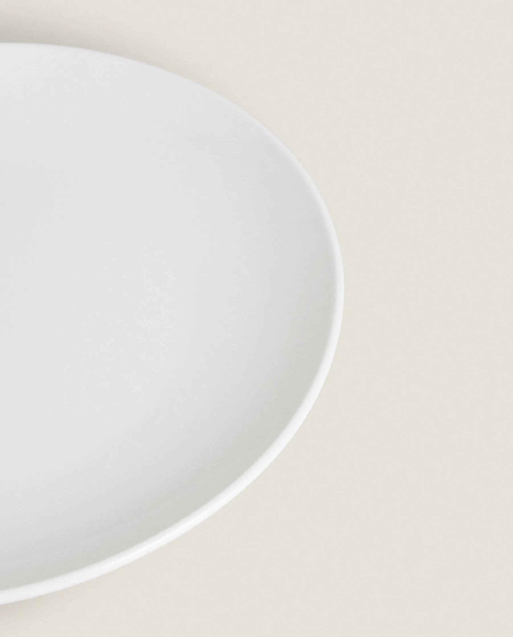 ZARA Home Stoneware Dinner Plate