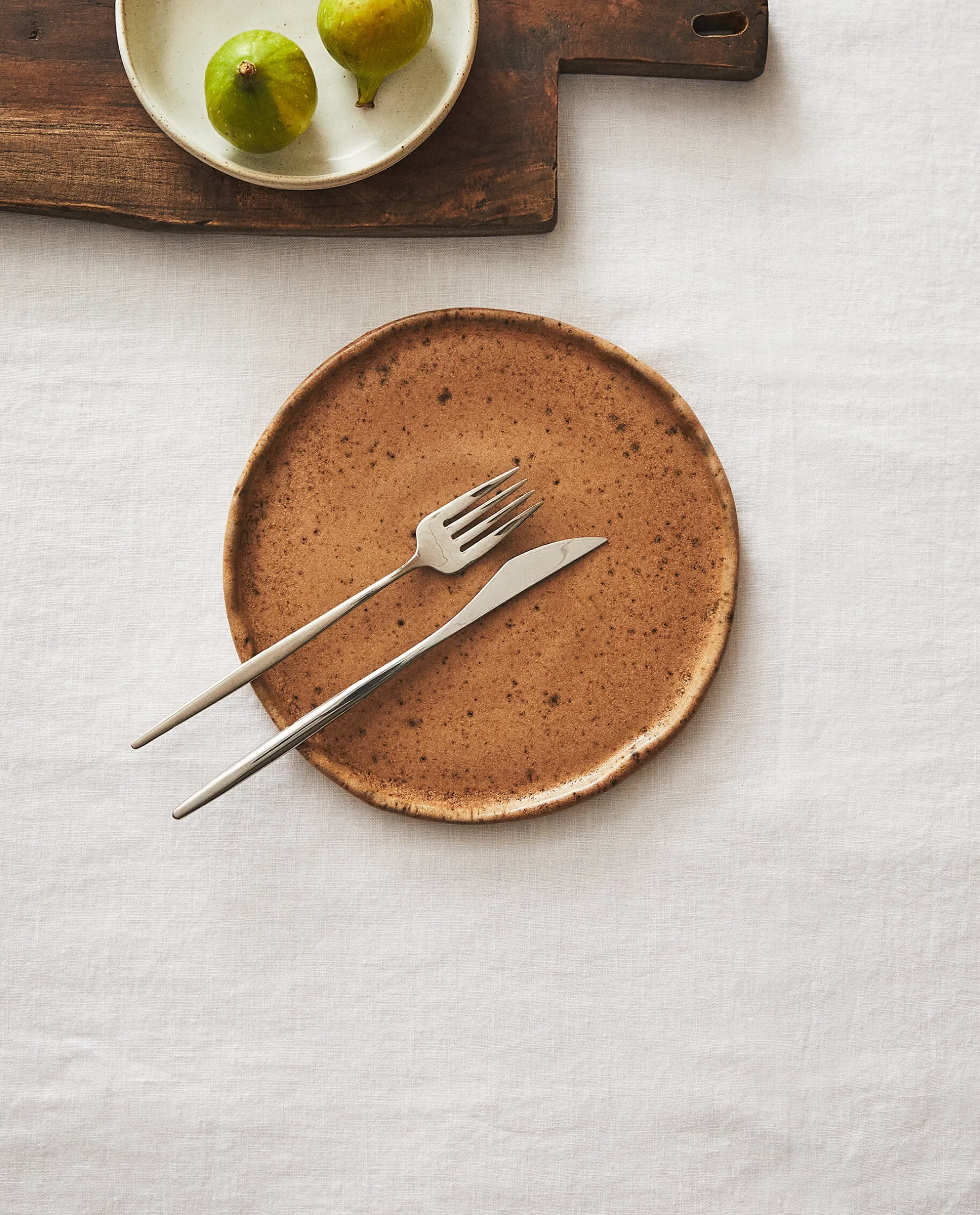 ZARA Home Terracotta Dinner Plate