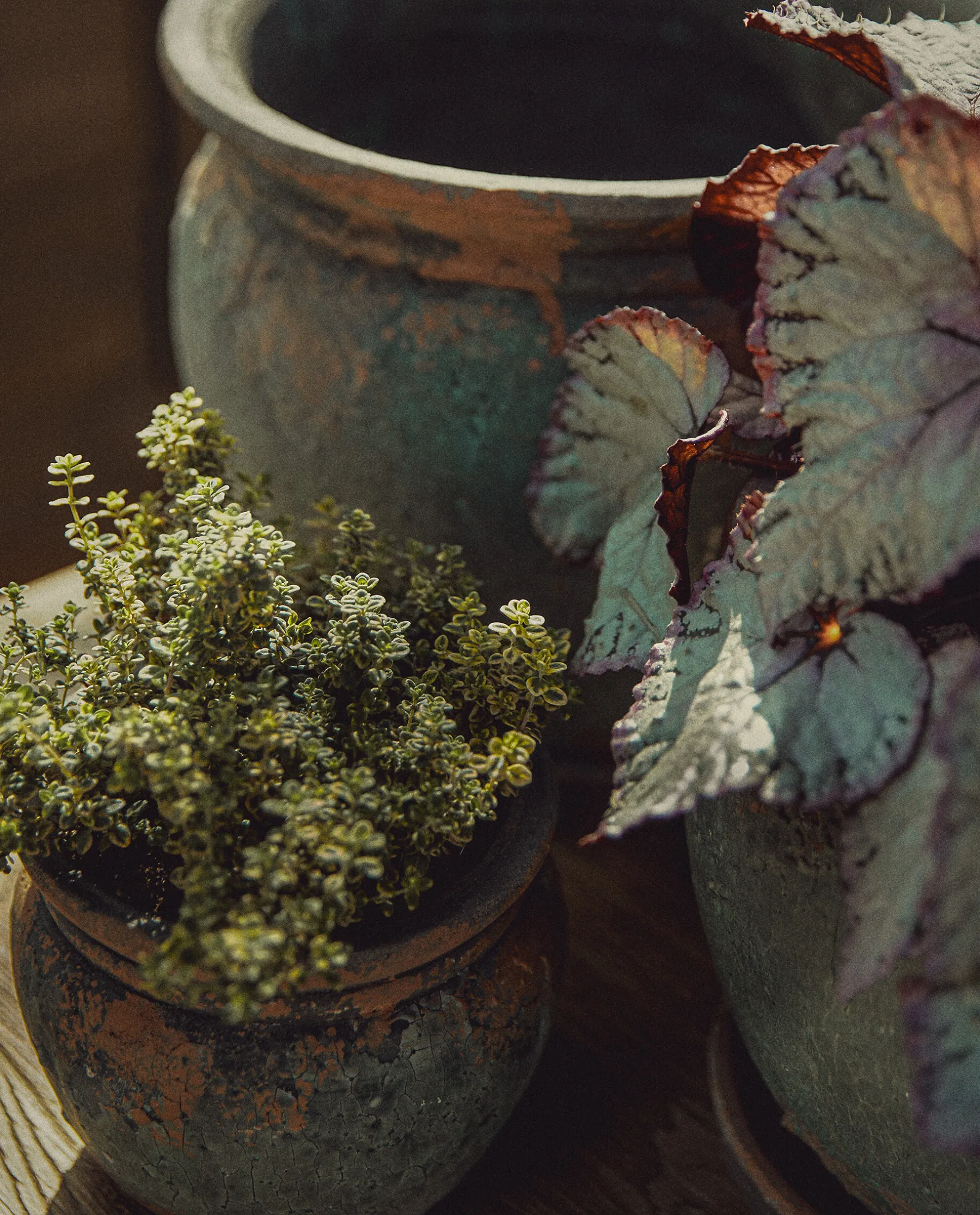 ZARA Home Terracotta Flowerpot | Small